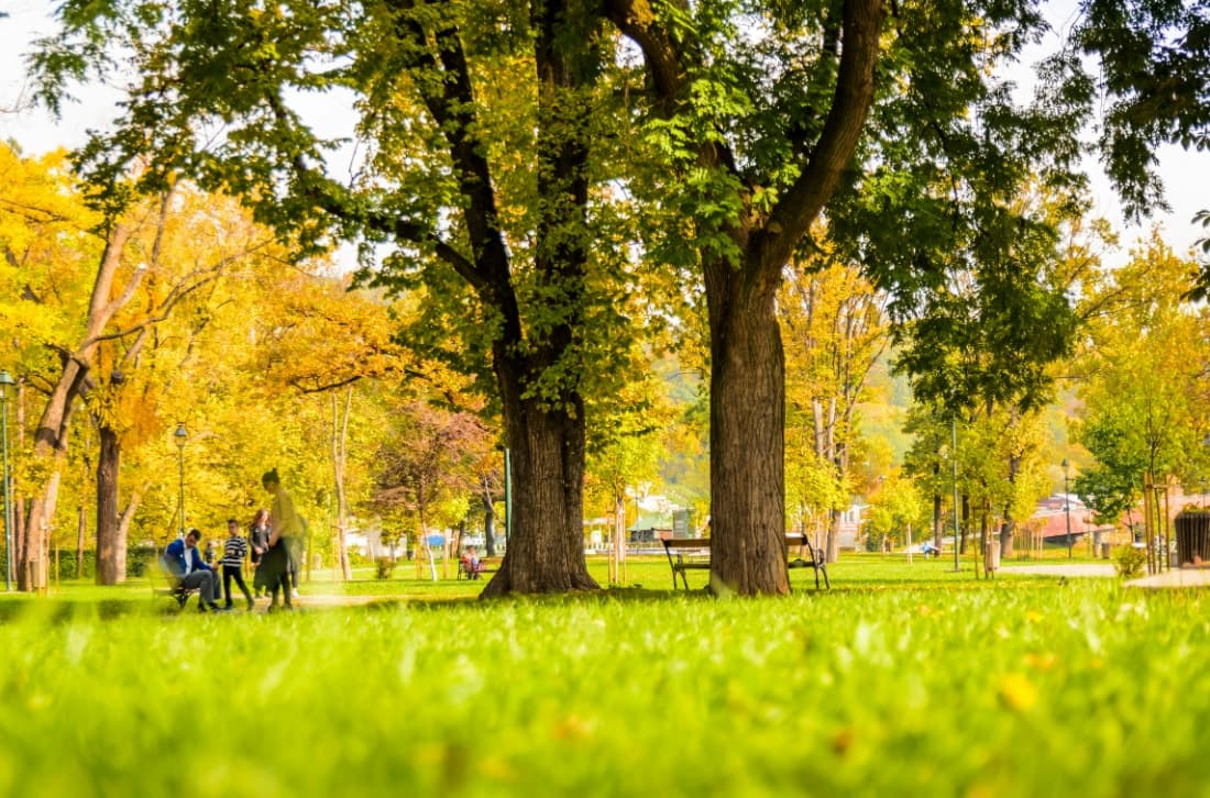 Memorial Park